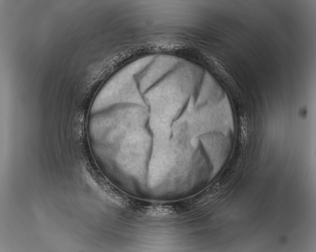 X0000116040451200912111443