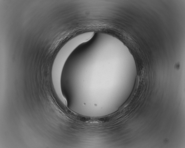 X0000116040452200912111444