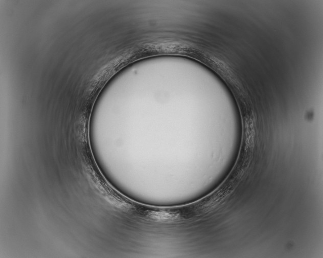 X0000116040453200912111444