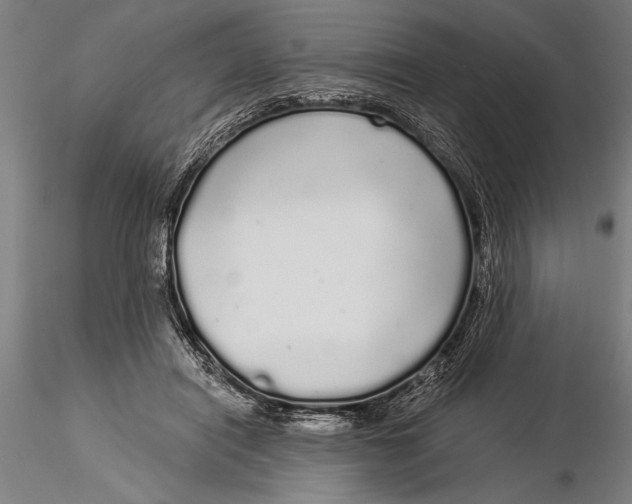 X0000116040454200912111444