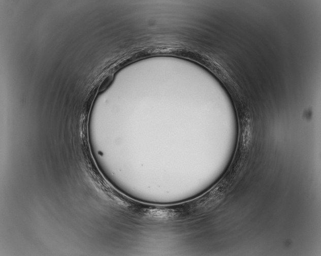 X0000116040455200912111444