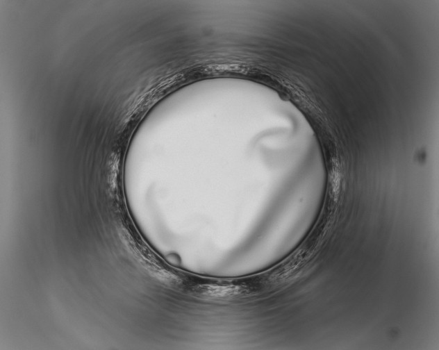 X0000116040458200912111444