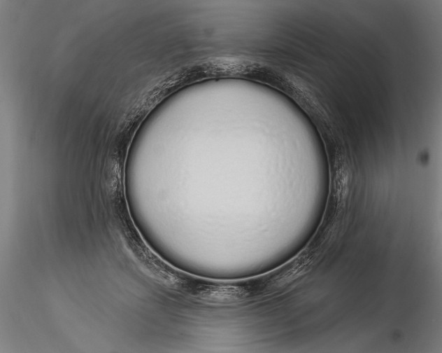 X0000116040459200912111444