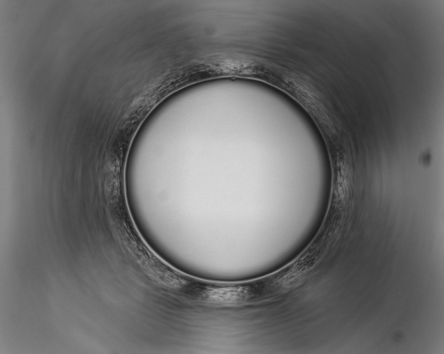 X0000116040461200912111444