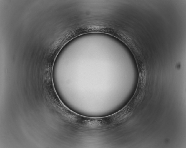 X0000116040462200912111444