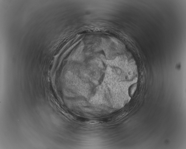 X0000116040465200912111444