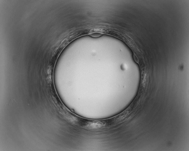 X0000116040466200912111444