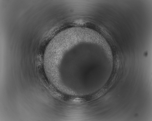 X0000116040467200912111444