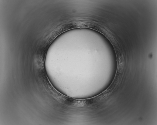X0000116040469200912111444