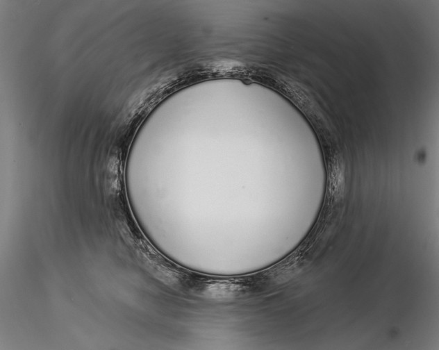 X0000116040470200912111444