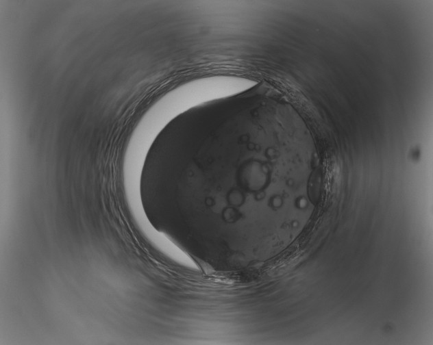 X0000116040471200912111444
