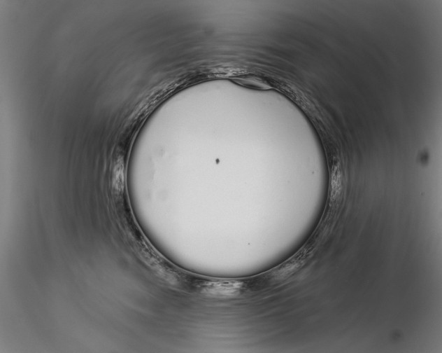 X0000116040474200912111444