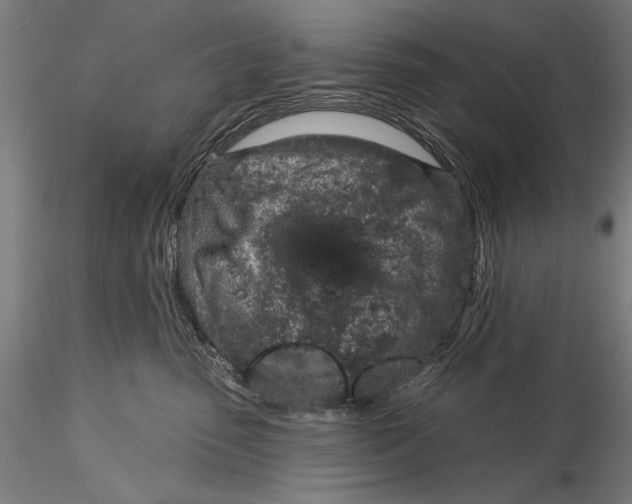 X0000116040475200912111444