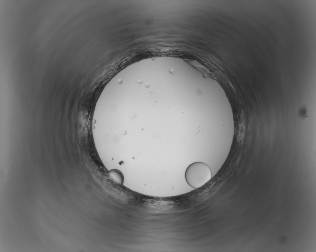 X0000116040476200912111444