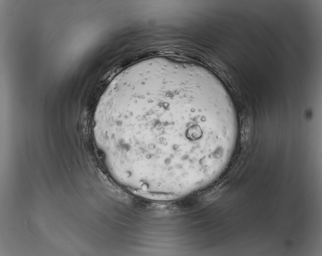 X0000116040477200912111444
