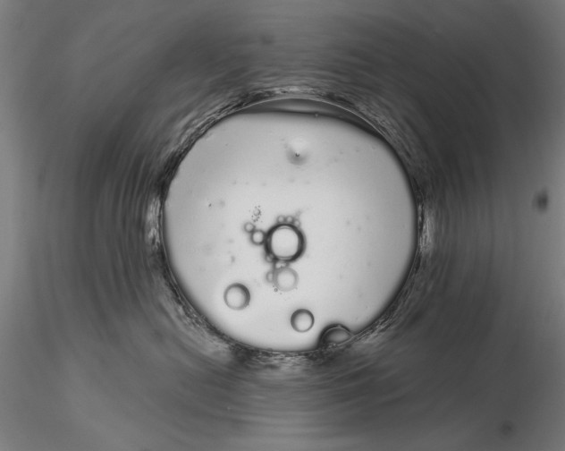 X0000116040478200912111444