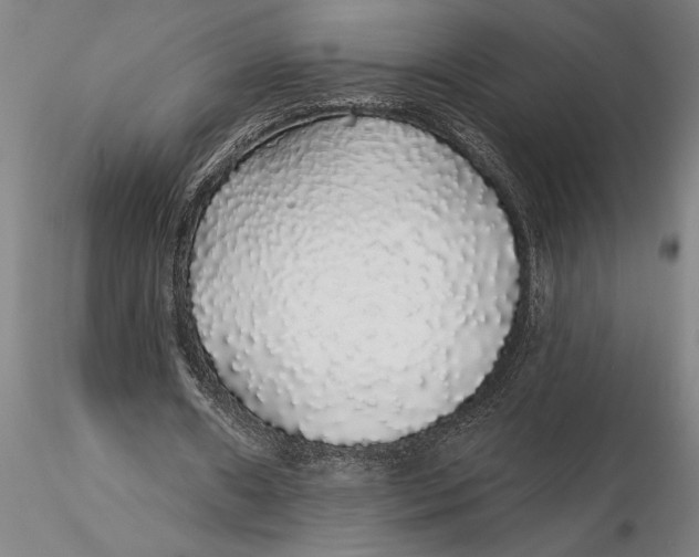 X0000116040482200912111443