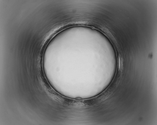 X0000116040483200912111443