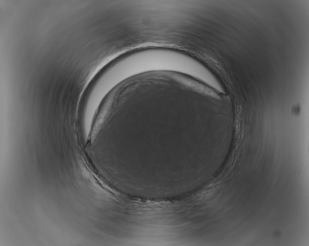 X0000116040484200912111443