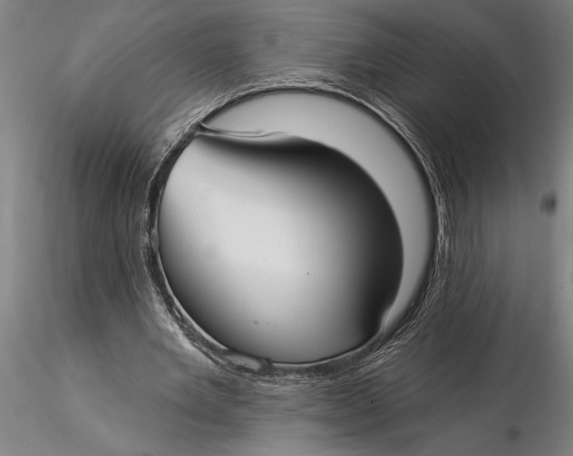 X0000116040485200912111443