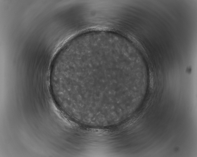 X0000116040486200912111443