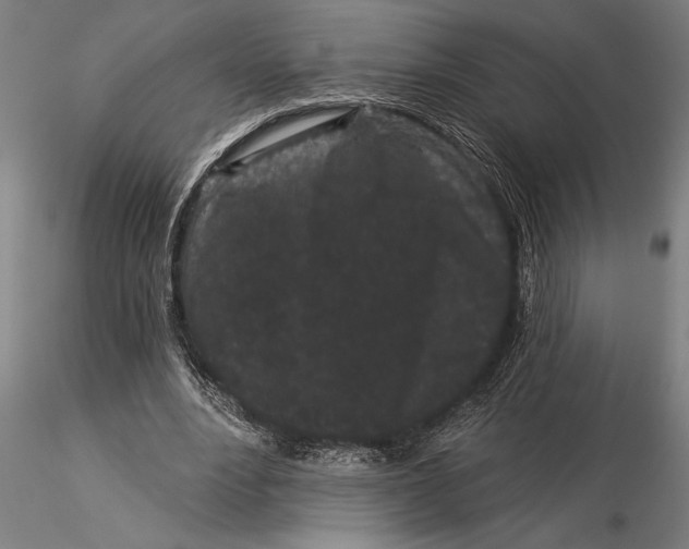 X0000116040488200912111443