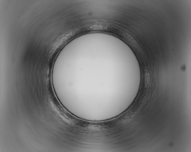 X0000116040490200912111443