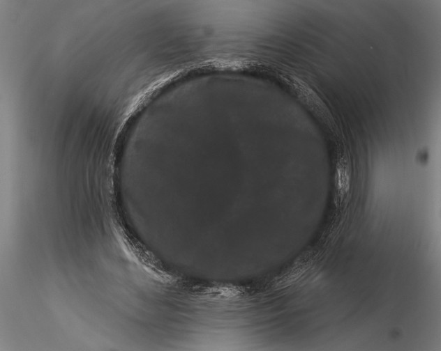 X0000116040492200912111443