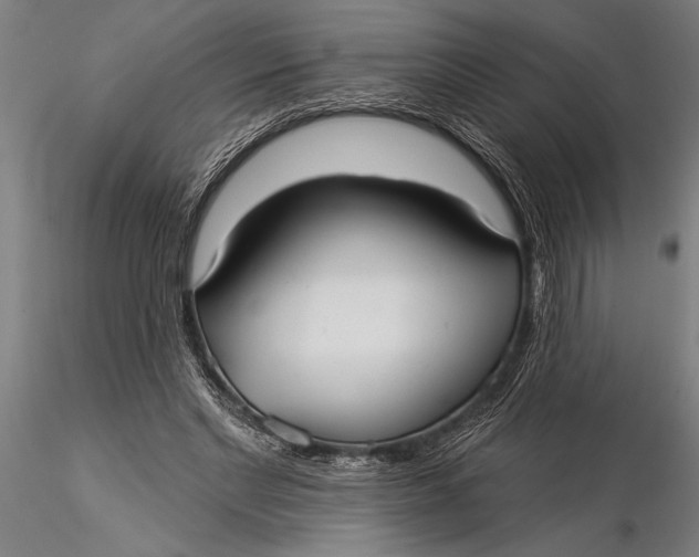 X0000116040493200912111443