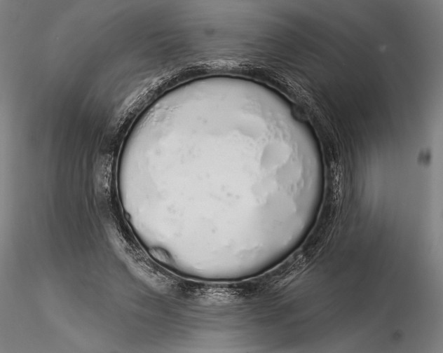 X0000116040495200912111443