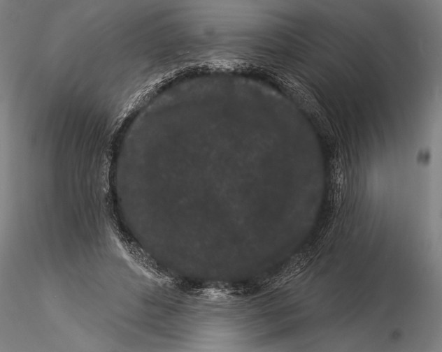 X0000116040496200912111443