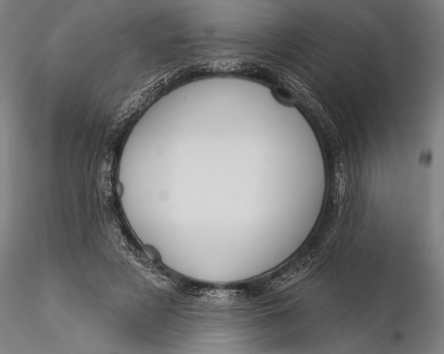 X0000116040497200912111443