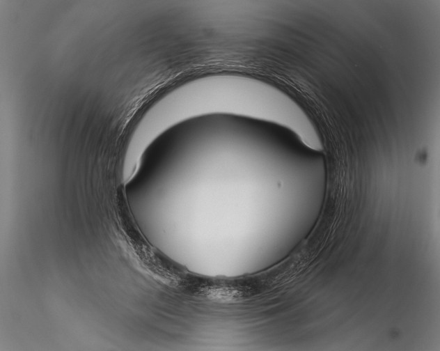 X0000116040500200912111443