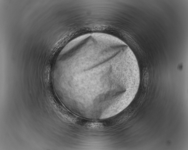 X0000116040501200912111443