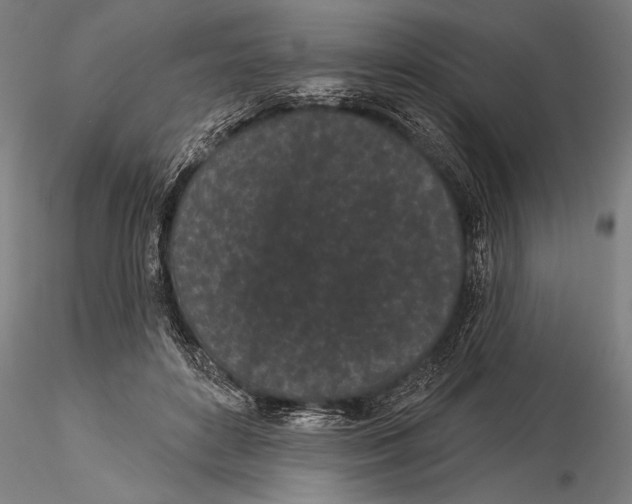 X0000116040504200912111443