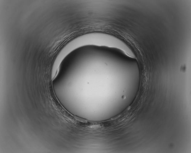 X0000116040505200912111443