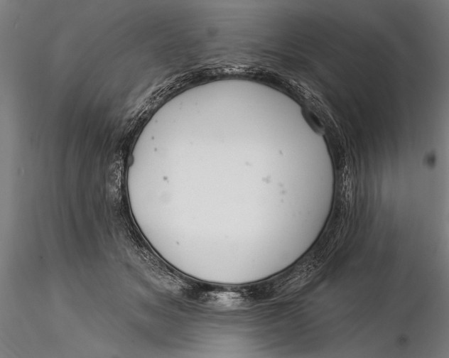 X0000116040509200912111443