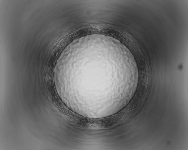 X0000116040510200912111442