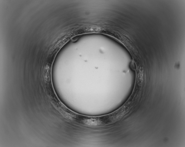 X0000116040511200912111442