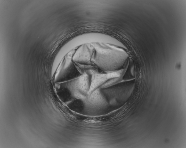 X0000116040512200912111442