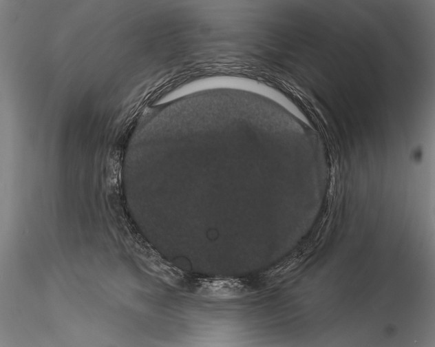 X0000116040517200912111442