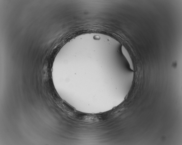 X0000116040520200912111442