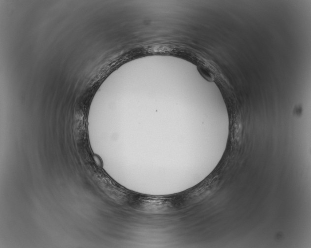 X0000116040521200912111442