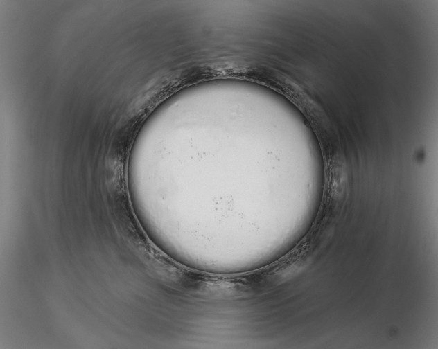 X0000116040523200912111442