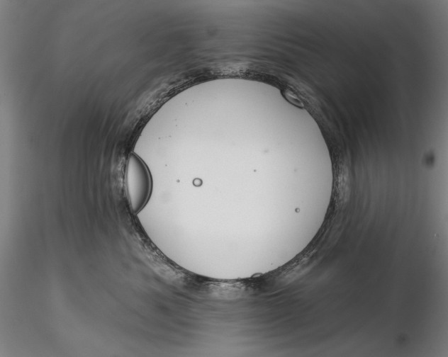 X0000116040525200912111442