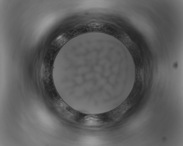 X0000116040526200912111442