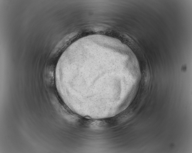 X0000116040527200912111442