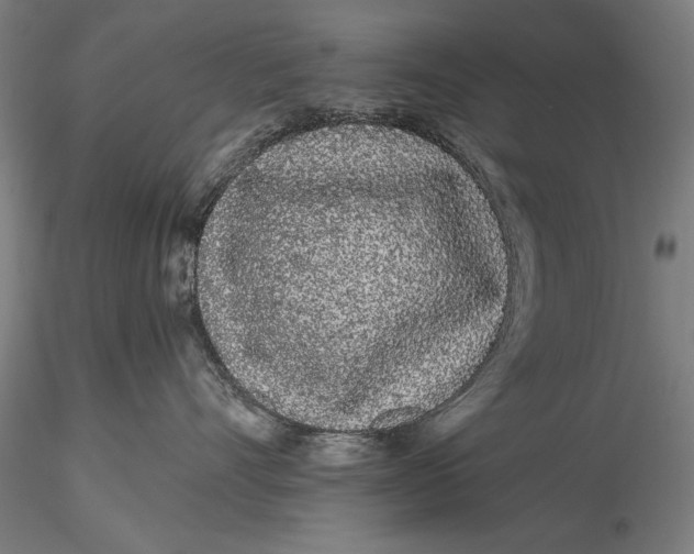 X0000116040528200912111442