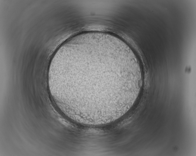 X0000116040529200912111442