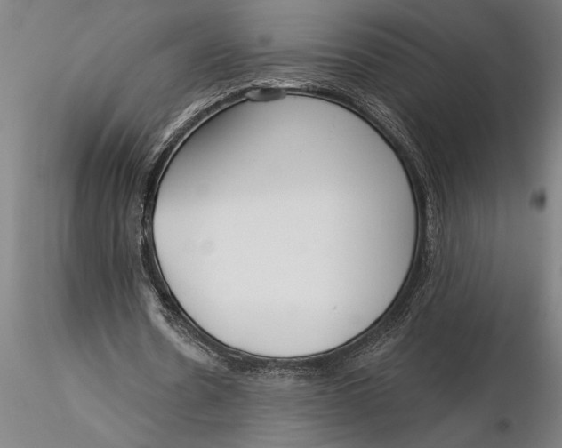 X0000116040530200912111442